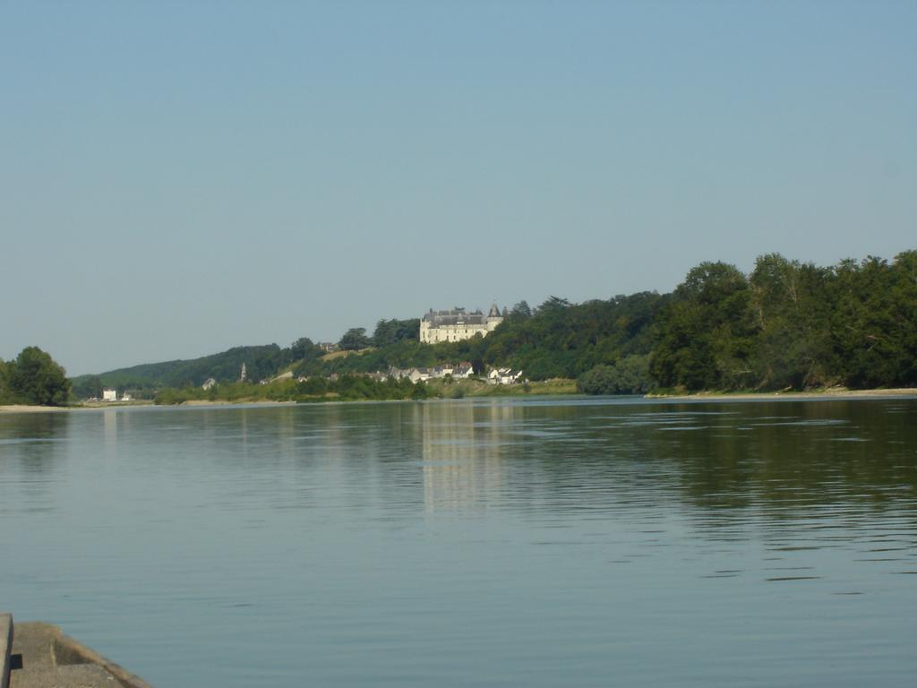 Les Bords De Loire Apartment Veuves Room photo