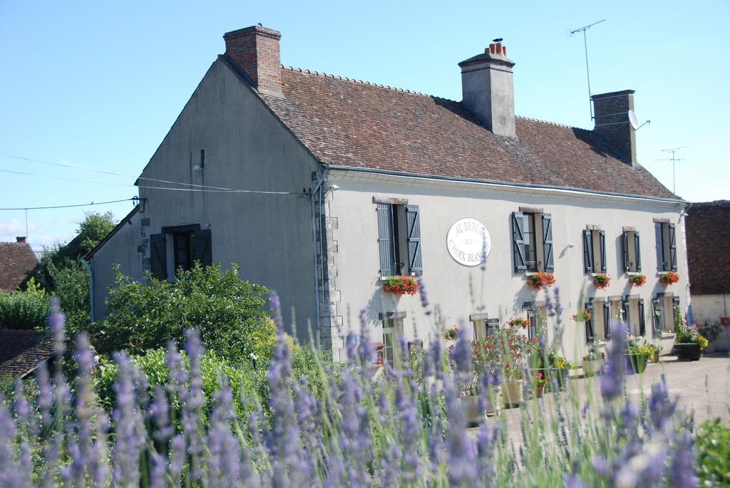 Les Bords De Loire Apartment Veuves Room photo